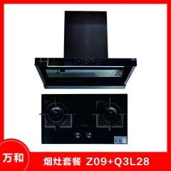 万和套餐 烟机CXW-300-Z09+灶具Q3L28